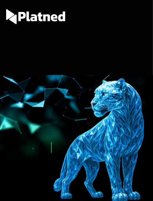 Crystal reports to IFS reports