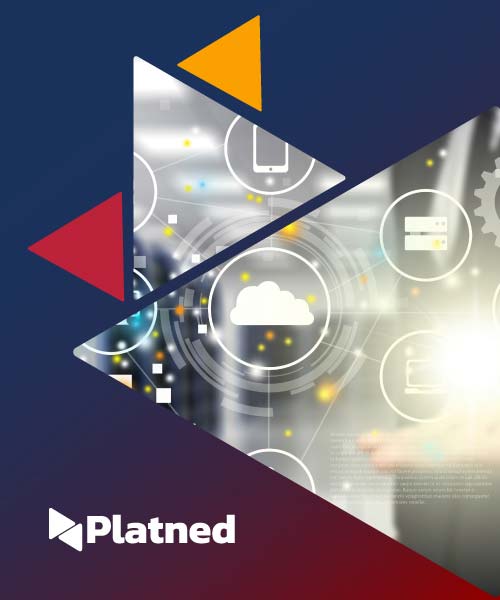 Managed service ERP support